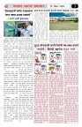 01-08 PAGES_page-0007